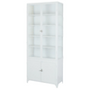 etúHOME 2-Door Glass Storage Cabinet
