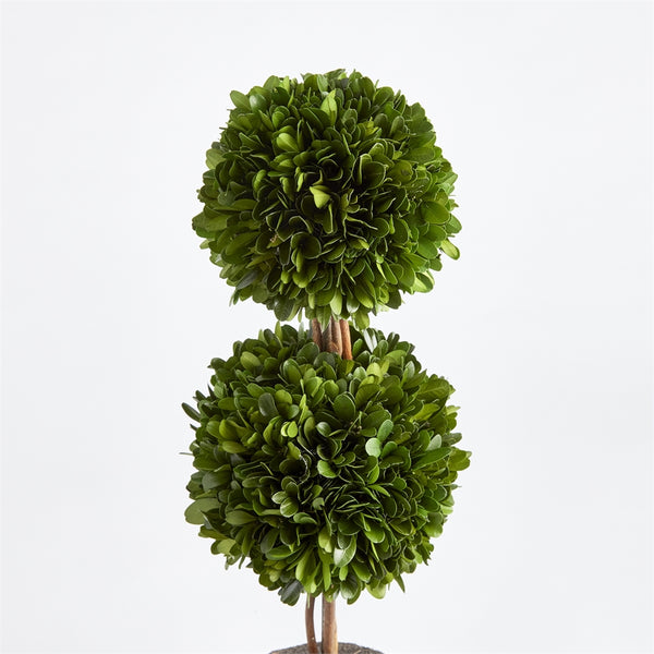 Napa Home & Garden Boxwood Double Sphere Topiary Drop-in