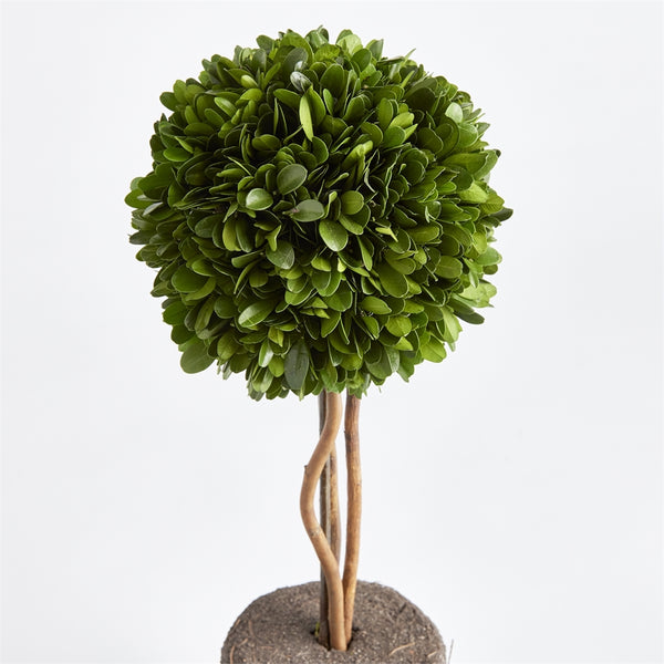 Napa Home & Garden Boxwood Single Sphere Topiary Drop-in