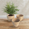 Napa Home & Garden Cane Rattan Round Tapered Baskets - Set of 3