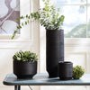Napa Home & Garden Zola Vase