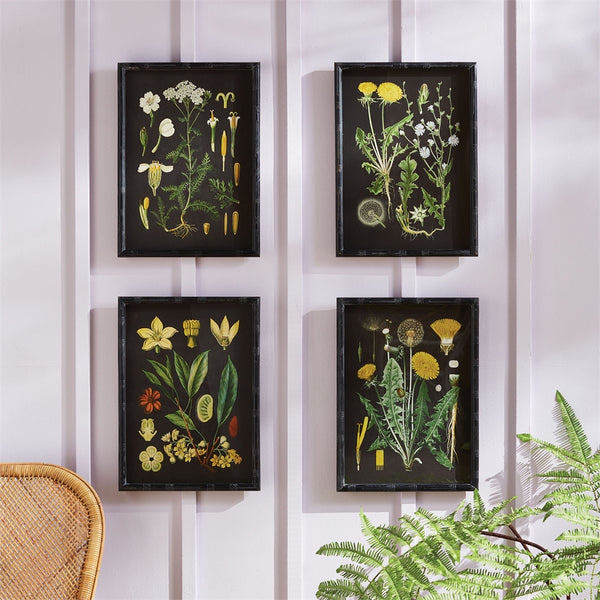 Napa Home & Garden Botanicals Study - Set of 4