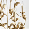 Napa Home & Garden Demetria Chandelier