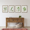 Napa Home & Garden Structural Fern Study - Set of 4