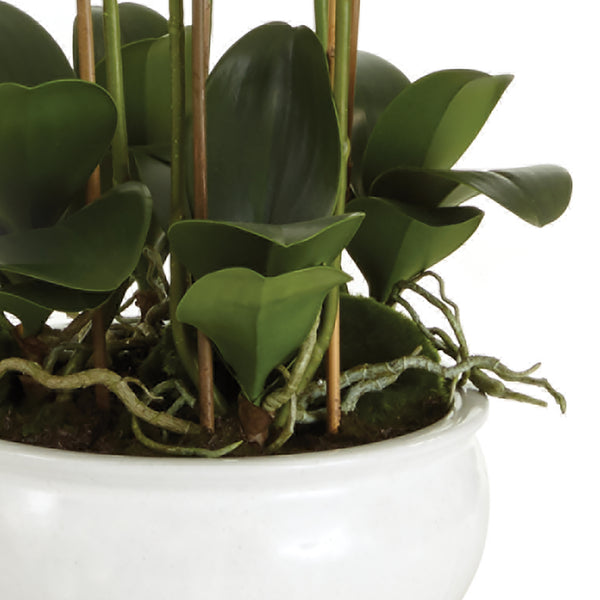 Napa Home & Garden Barclay Butera Phalaenopsis In Ceramic Bowl
