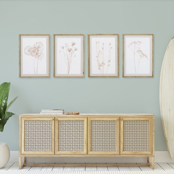Napa Home & Garden Stylized Botanical Prints - Set Of 4
