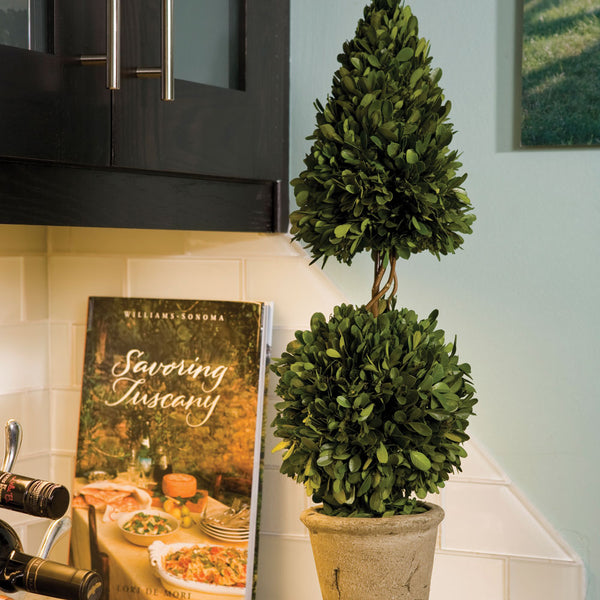 Napa Home & Garden Boxwood Cone & Ball Topiary - 25"