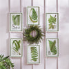 Napa Home & Garden Layered Fern Prints - Set of 6