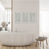 Napa Home & Garden Sketched Botanical Prints - Set Of 3