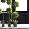 Napa Home & Garden Barclay Butera Faux Boxwood Topiary Potted