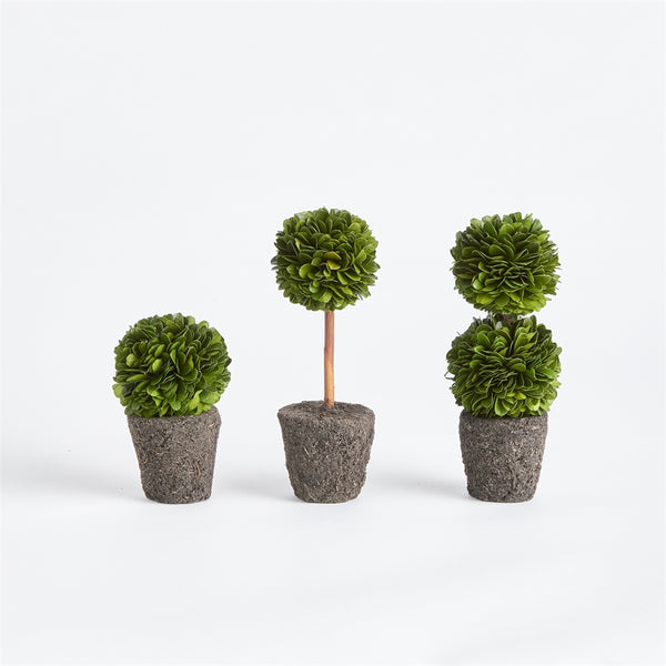 Napa Home & Garden Boxwood Mini Topiary Drop-ins - Set of 3