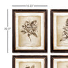 Napa Home & Garden Framed Vintage Floral Prints - Set of 6