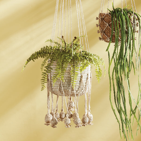 Napa Home & Garden Boston Fern Drop-In - 16"