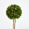 Napa Home & Garden Boxwood Single Sphere Topiary Drop-in