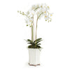 Napa Home & Garden Barclay Butera Phalaenopsis In Ceramic Pot