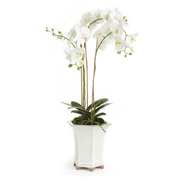 Napa Home & Garden Barclay Butera Phalaenopsis In Ceramic Pot
