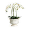 Napa Home & Garden Coletta Decorative Footed Bowl