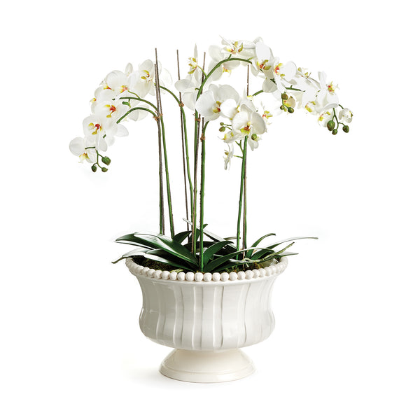 Napa Home & Garden Coletta Decorative Footed Bowl
