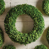 Napa Home & Garden Boxwood Wreath - 30"