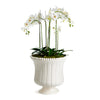 Napa Home & Garden Coletta Grande Flared Vase