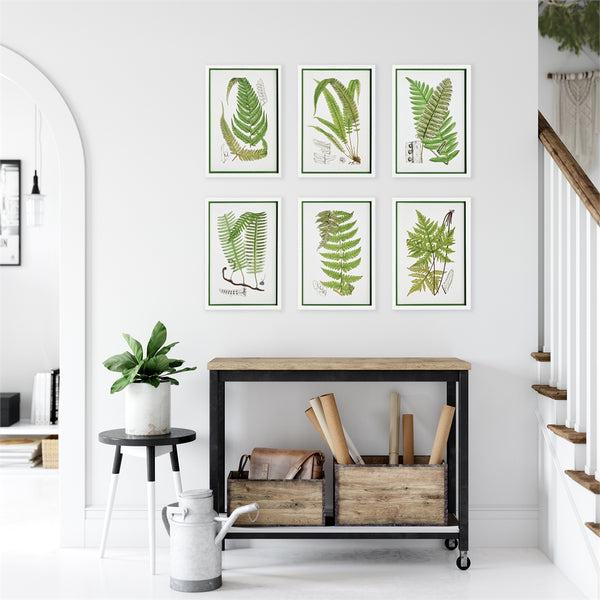 Napa Home & Garden Layered Fern Prints - Set of 6