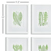 Napa Home & Garden Assorted Leaf Prints - Set Of 4