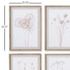 Napa Home & Garden Stylized Botanical Prints - Set Of 4