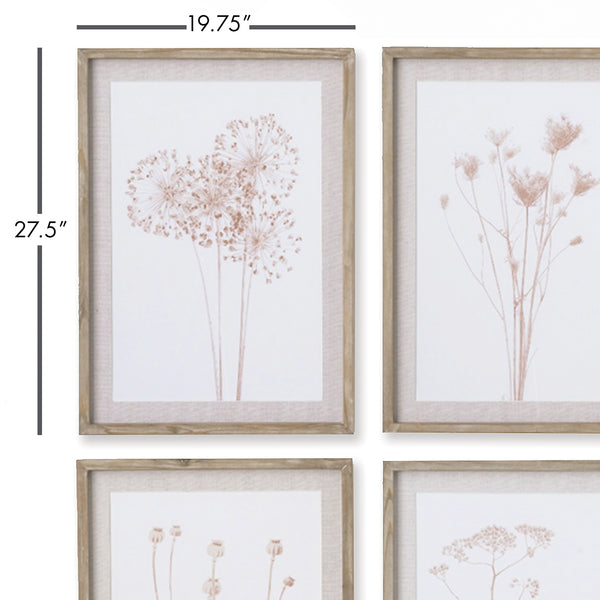 Napa Home & Garden Stylized Botanical Prints - Set Of 4