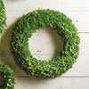 Napa Home & Garden Boxwood Wreath - 24"