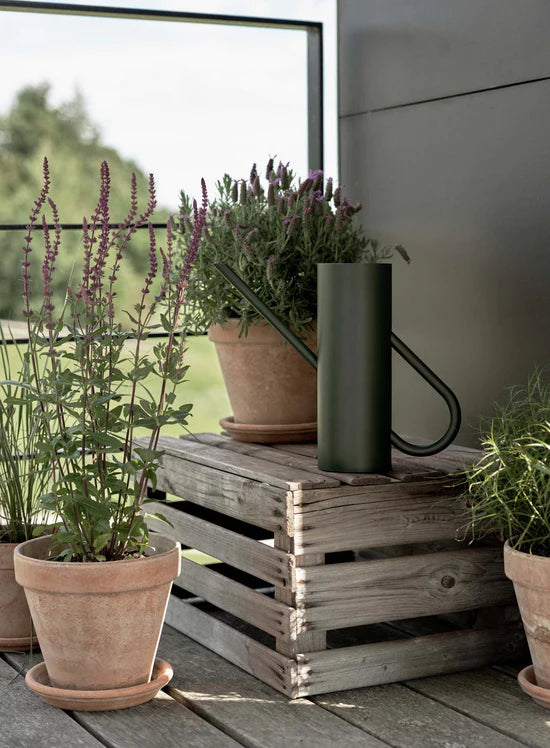 Stelton Bloom Watering Can