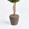 Napa Home & Garden Boxwood Single Sphere Topiary Drop-in