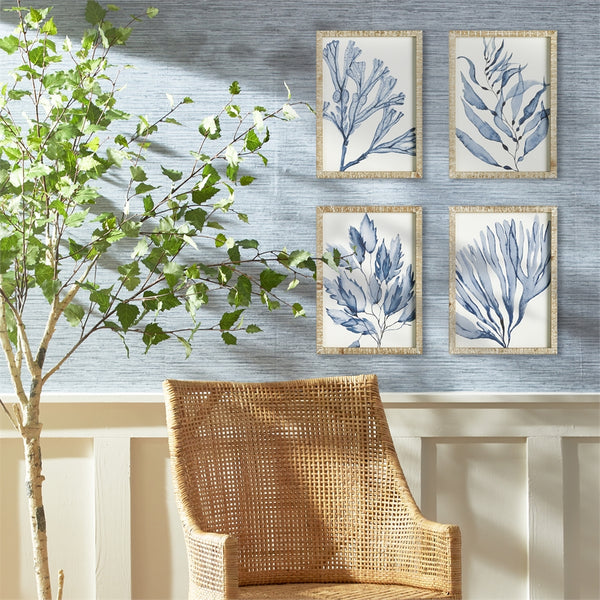 Napa Home & Garden Marine Prints - Set of 4