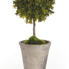 Napa Home & Garden Barclay Butera Faux Boxwood Topiary Potted