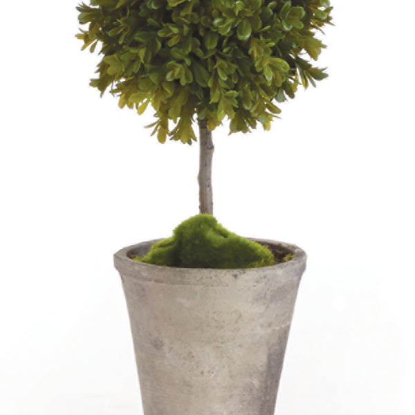 Napa Home & Garden Barclay Butera Faux Boxwood Topiary Potted