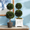 Napa Home & Garden Boxwood Double Sphere Topiary Drop-in
