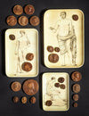 Siren Song Sculptura Tray Set - Set of 3 