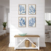 Napa Home & Garden Marine Prints - Set of 4