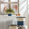 Napa Home & Garden Boston Fern Drop-In - 16"