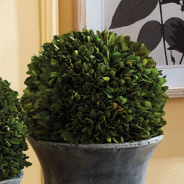 Napa Home & Garden Boxwood Ball