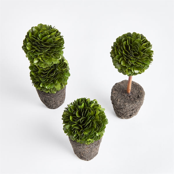 Napa Home & Garden Boxwood Mini Topiary Drop-ins - Set of 3