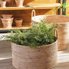 Napa Home & Garden Maiden Hair Drop-In - 23"