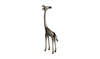 Moe's Champagne Giraffe