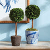 Napa Home & Garden Boxwood Single Sphere Topiary Drop-in