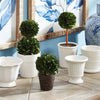 Napa Home & Garden Boxwood Mini Topiary Drop-ins - Set of 3