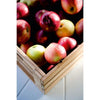 Skagerak Dania Teak Apple/Storage Crate 