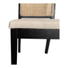Moe's Orville Dining Chair - Set of 2
