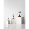 DESIGN HOUSE STOCKHOLM GROW Greenhouse 