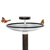 Blomus Fuera Bird Feeder & Bird Bath