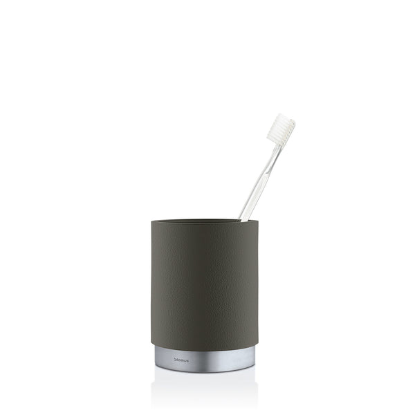 Blomus Ara Toothbrush Holder