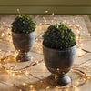Napa Home & Garden Boxwood Ball